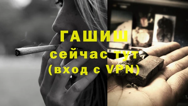 сатива Няндома