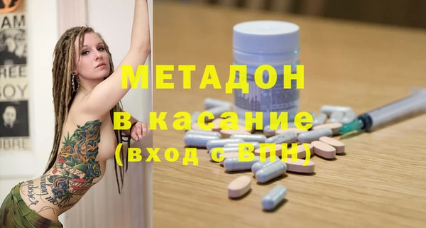 сатива Няндома