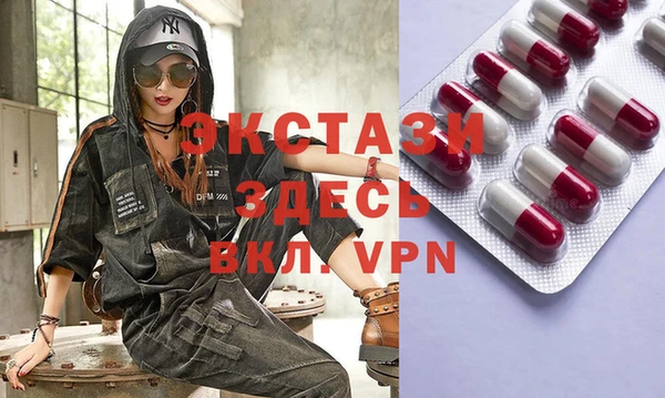 индика Осинники