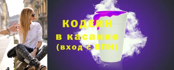 индика Осинники
