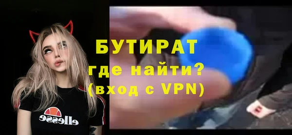 индика Осинники