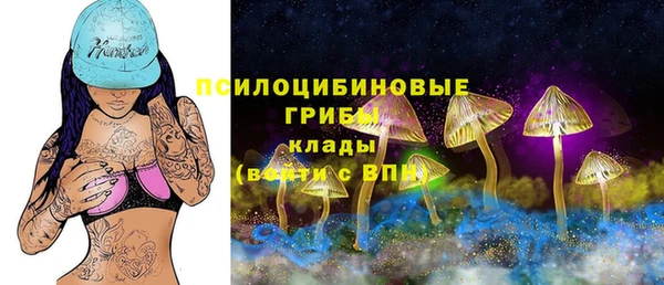 спайс Ишимбай
