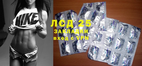 сатива Няндома