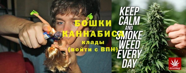 шишки Новодвинск
