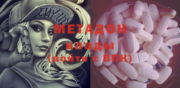 индика Осинники