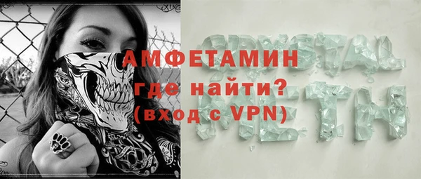 индика Осинники