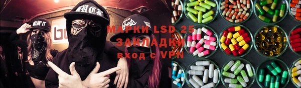 индика Осинники