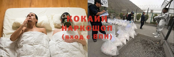 индика Осинники